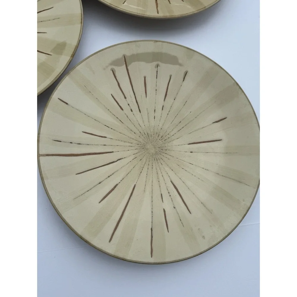 Pier 1 Sanctuary Ceramic Stoneware Dinner Plates Set Of 5 Starburst